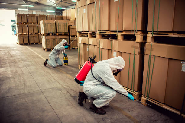 Best Affordable Pest Control Services  in Spring Glen, UT