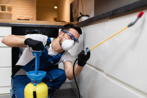 Pest Prevention Services in Spring Glen, UT