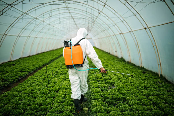 Best Emergency Pest Control  in Spring Glen, UT