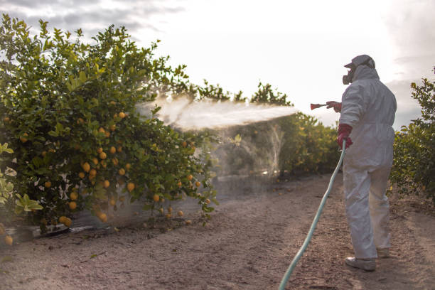 Best Pest Removal Services  in Spring Glen, UT