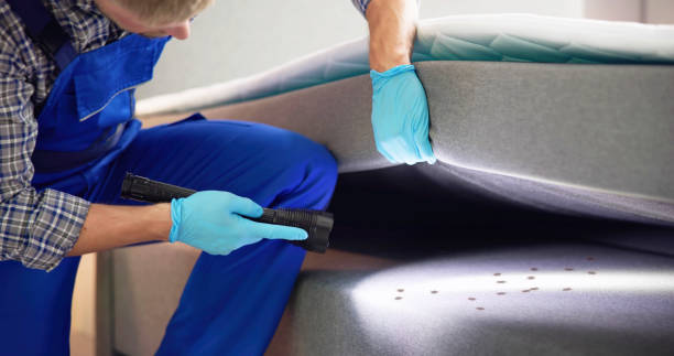 Best Exterminator Services  in Spring Glen, UT