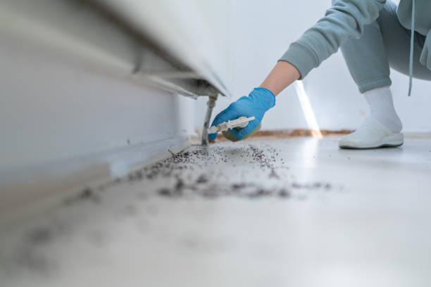 Best Best Pest Control Companies  in Spring Glen, UT